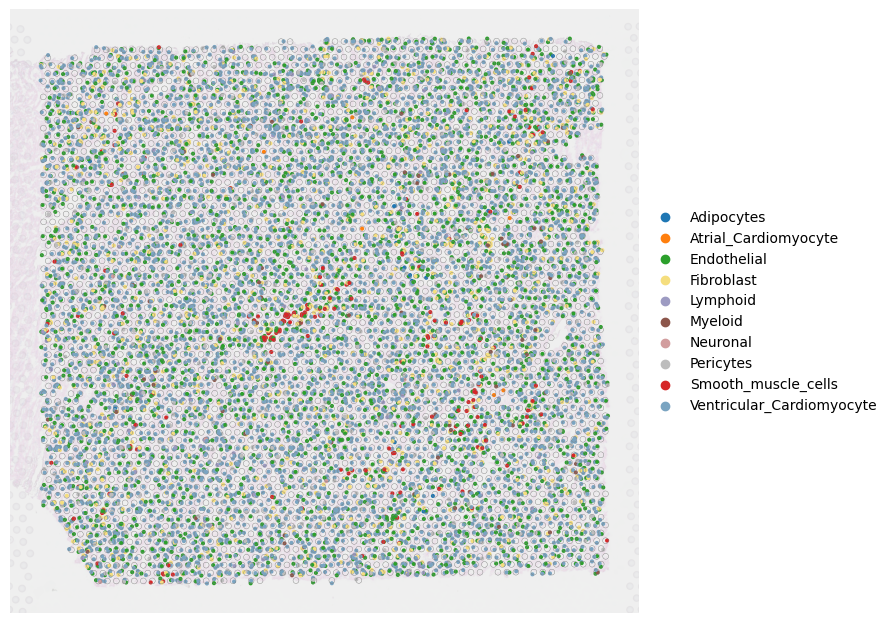 ../_images/notebooks_Human-Heart_25_1.png