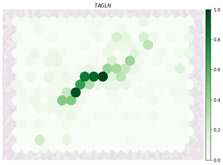 ../_images/notebooks_Human-Heart_56_0.png