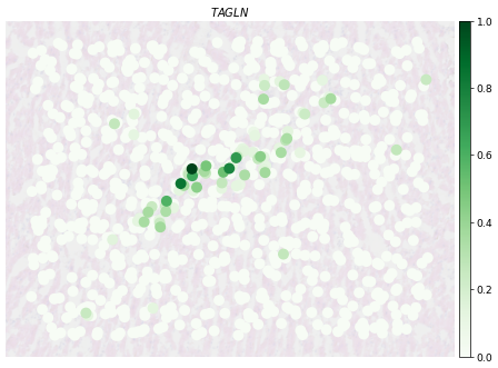 ../_images/notebooks_Human-Heart_57_0.png