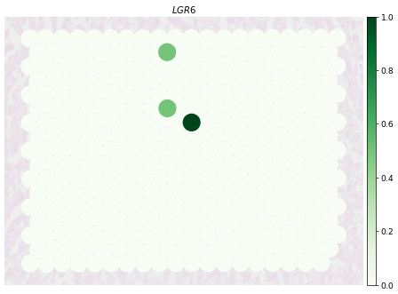 ../_images/notebooks_Human-Heart_58_0.png