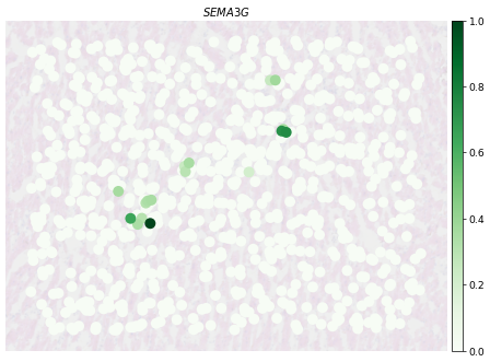 ../_images/notebooks_Human-Heart_63_0.png