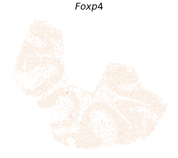 ../_images/notebooks_Mouse-Cerebellum-Slideseq_38_0.png