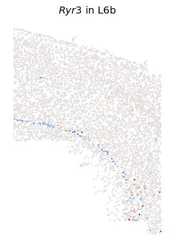 ../_images/notebooks_Mouse-MOp-MERFISH_47_0.png